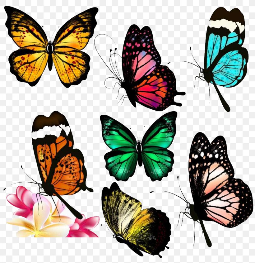 Butterfly Drawing Clip Art, PNG, 1024x1055px, Butterfly, Brush Footed Butterfly, Color, Decorative Arts, Drawing Download Free