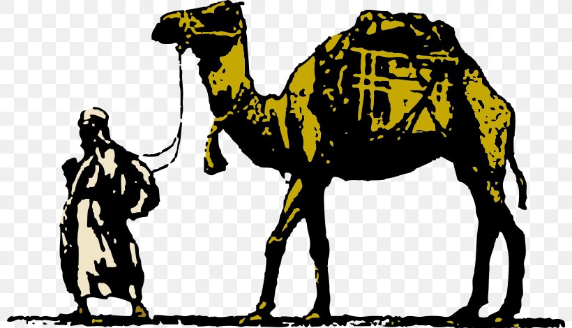 Dromedary Free Content Clip Art, PNG, 800x470px, Dromedary, Arabian Camel, Camel, Camel Like Mammal, Free Content Download Free