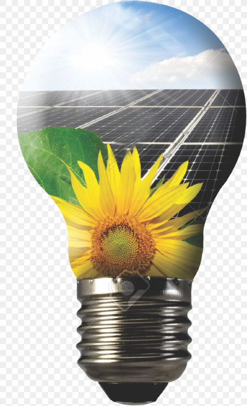 Solar Panels Solar Energy Photovoltaic Power Station Solar Power Photovoltaics, PNG, 1130x1856px, Solar Panels, Energy, Energy Technology, Flower, Flowerpot Download Free