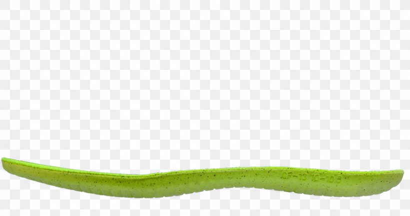 Vegetable, PNG, 1054x557px, Vegetable, Grass Download Free