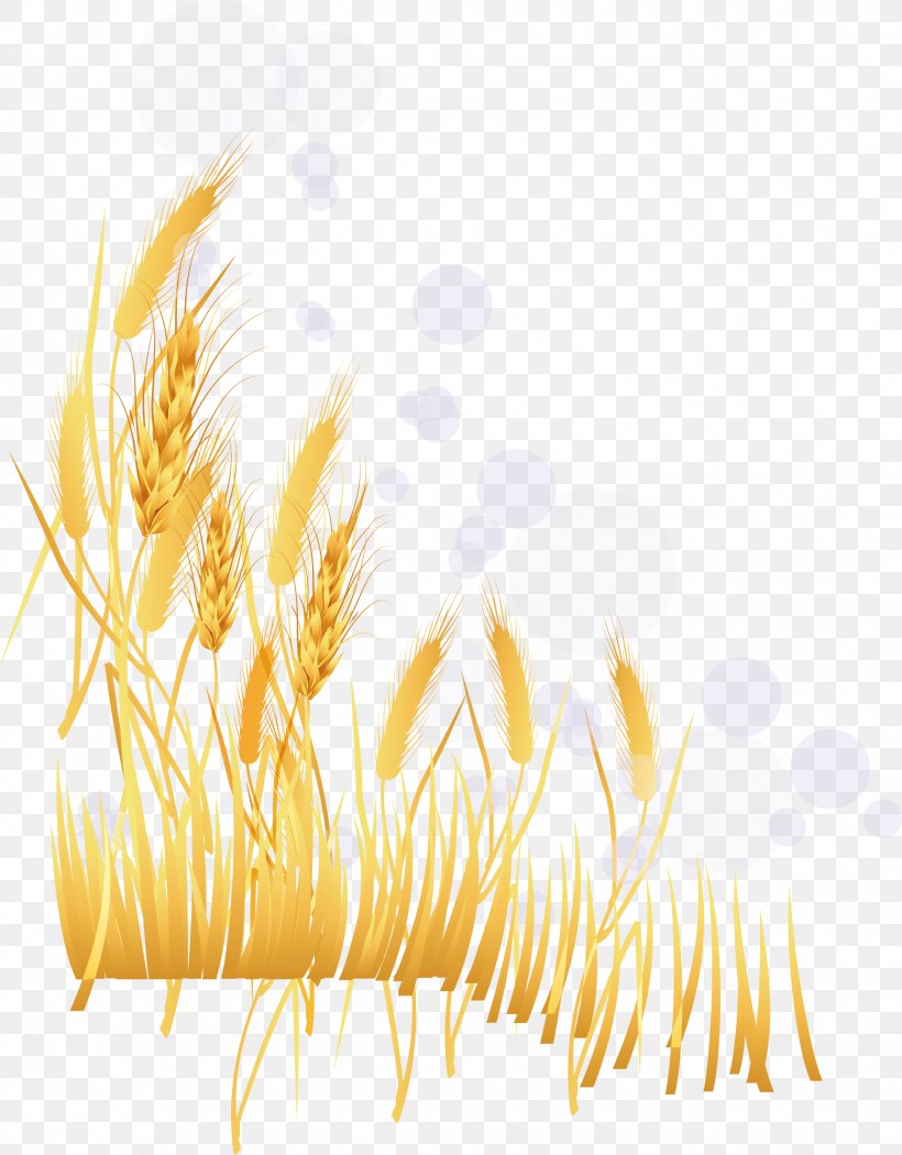 Wheat Illustration, PNG, 1952x2501px, Wheat, Commodity, Computer Graphics, Ear, Flowering Plant Download Free