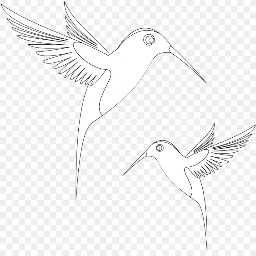 Black And White Inkscape Line Art Clip Art, PNG, 999x999px, Black And White, Artwork, Beak, Bird, Color Download Free