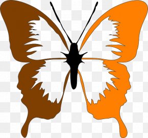 Butterfly - Butterfly Clip Art Image Vector Graphics Drawing PNG