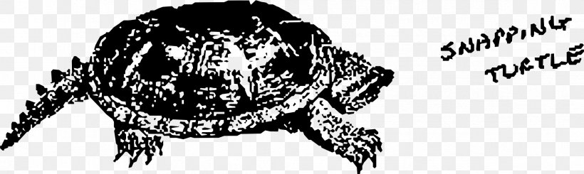 Common Snapping Turtle Drawing Clip Art, PNG, 2339x699px, Watercolor, Cartoon, Flower, Frame, Heart Download Free