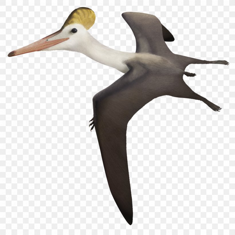 Pterodactyls Dsungaripterus Aerodactylus Ctenochasma Pterosaurs, PNG, 2000x2000px, Pterodactyls, Aerodactylus, Alanqa, Albatross, Beak Download Free