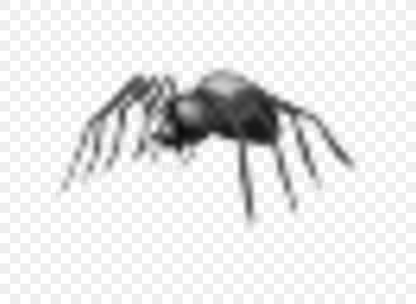 Insect Arachnid Technology Pest, PNG, 600x600px, Insect, Arachnid, Arthropod, Black And White, Invertebrate Download Free