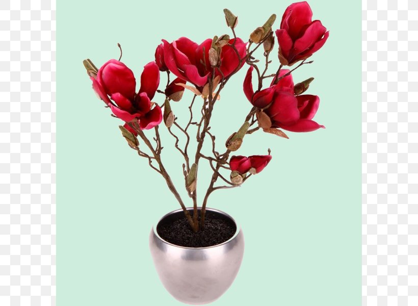 Magnolia Flowerpot Houseplant, PNG, 600x600px, Magnolia, Artificial Flower, Blossom, Branch, Color Download Free
