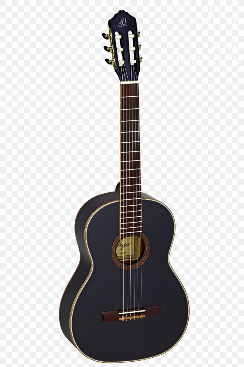 Twelve-string Guitar Acoustic Guitar C. F. Martin & Company Classical Guitar, PNG, 1000x1500px, Watercolor, Cartoon, Flower, Frame, Heart Download Free