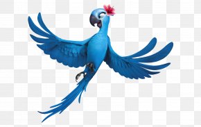 Rio Pic - Blu Rio Film Clip Art PNG