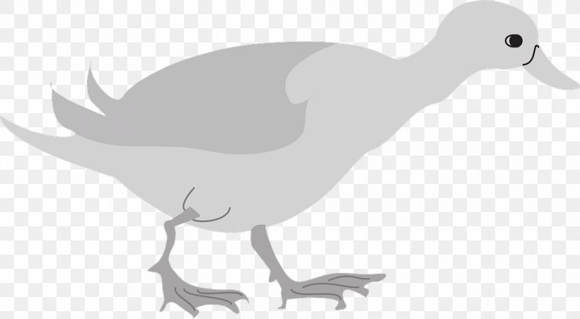 Duck Goose Cygnini Clip Art Bird, PNG, 960x529px, Duck, Artwork, Beak, Bird, Black And White Download Free