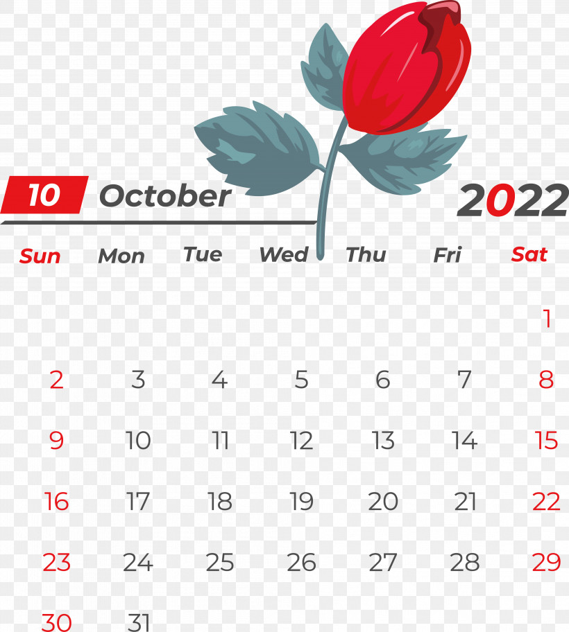 Flower Line Calendar Font Petal, PNG, 3974x4421px, Flower, Biology, Calendar, Geometry, Line Download Free