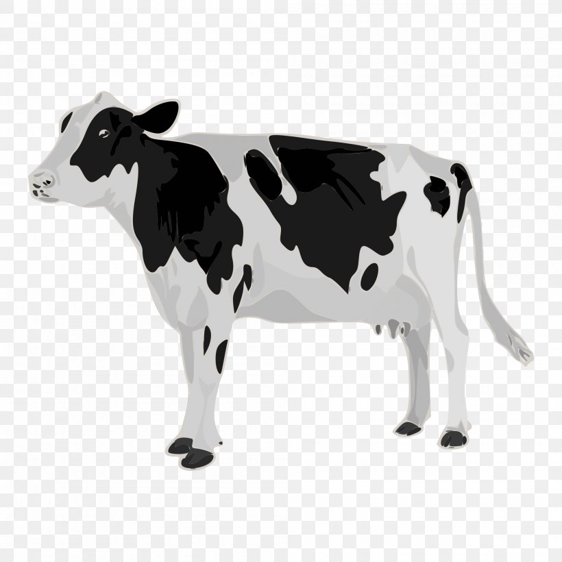 Holstein Friesian Cattle Patz Corporation Dairy Cattle Calf Teat, PNG, 2000x2000px, Holstein Friesian Cattle, Animal Figure, Art, Blackandwhite, Bovine Download Free