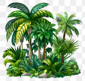 Jungle Plants - Lush Tropical Jungle With Palm Trees PNG
