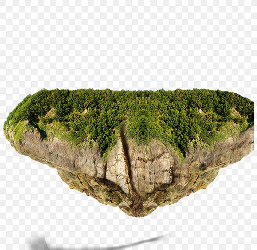Rock Icon, PNG, 800x800px, Rock, Grass, Island, Non Vascular Land Plant, Plant Download Free