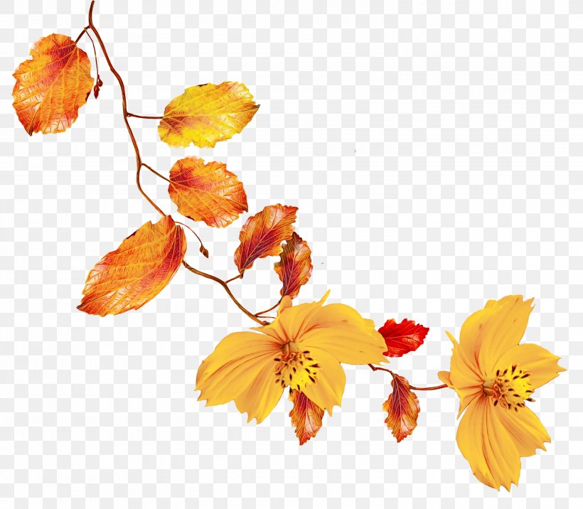 Watercolor Flower Background, PNG, 3000x2620px, Watercolor, Amber, Artificial Flower, Autumn, Branch Download Free