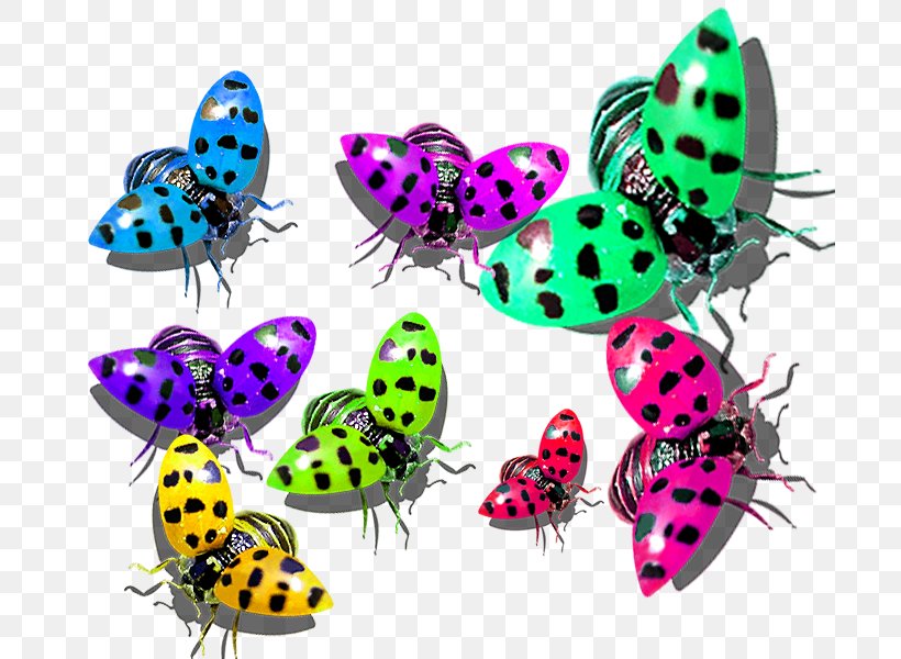 Butterfly Color, PNG, 700x600px, Butterfly, Color, Color Photography, Designer, Insect Download Free