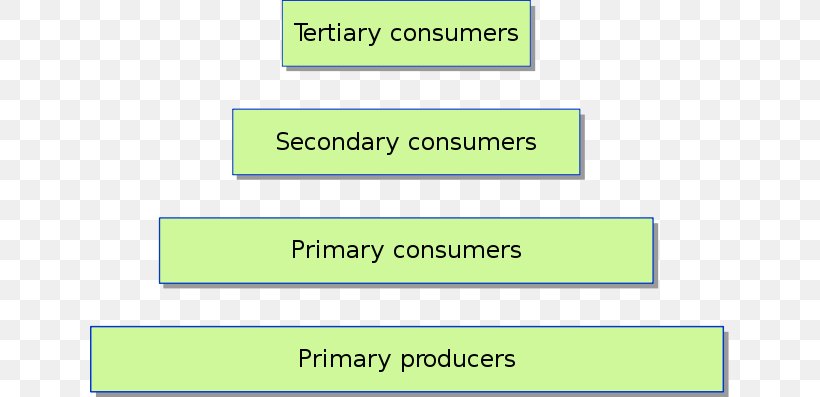 Ecological Pyramid Trophic Level Ecosystem Ecology Energy, PNG, 640x397px, Ecological Pyramid, Area, Brand, Consumer, Description Download Free