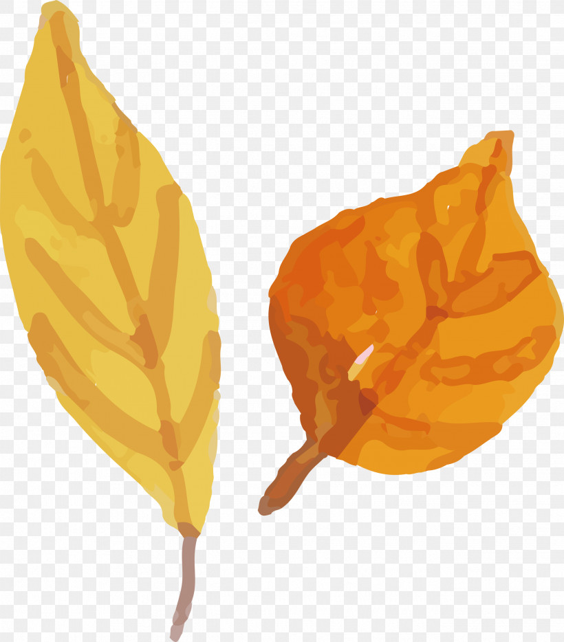 Fruit, PNG, 2632x3000px, Watercolor Autumn, Fruit, Watercolor Autumn Leaf, Watercolor Leaf Download Free