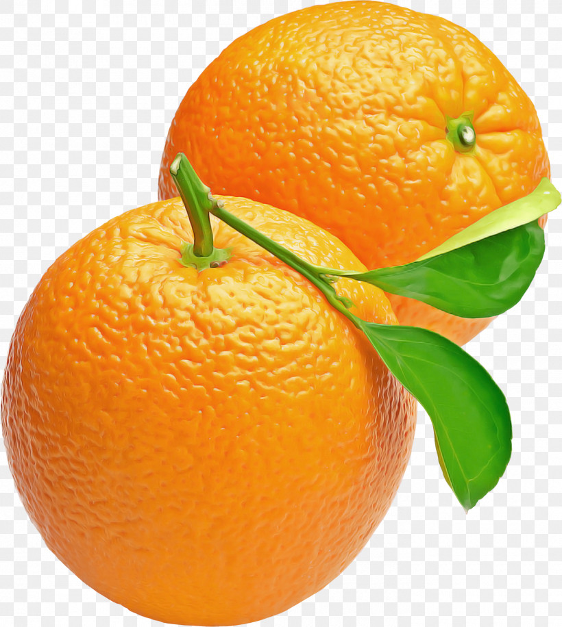 Orange, PNG, 1400x1565px, Blood Orange, Bitter Orange, Citron, Clementine, Fruit Download Free