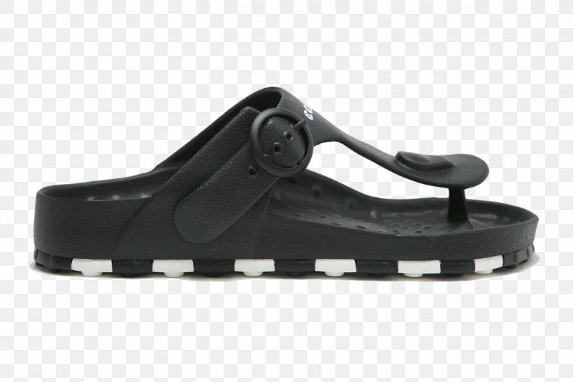 Sandal Shoe, PNG, 1545x1030px, Sandal, Black, Black M, Footwear, Outdoor Shoe Download Free