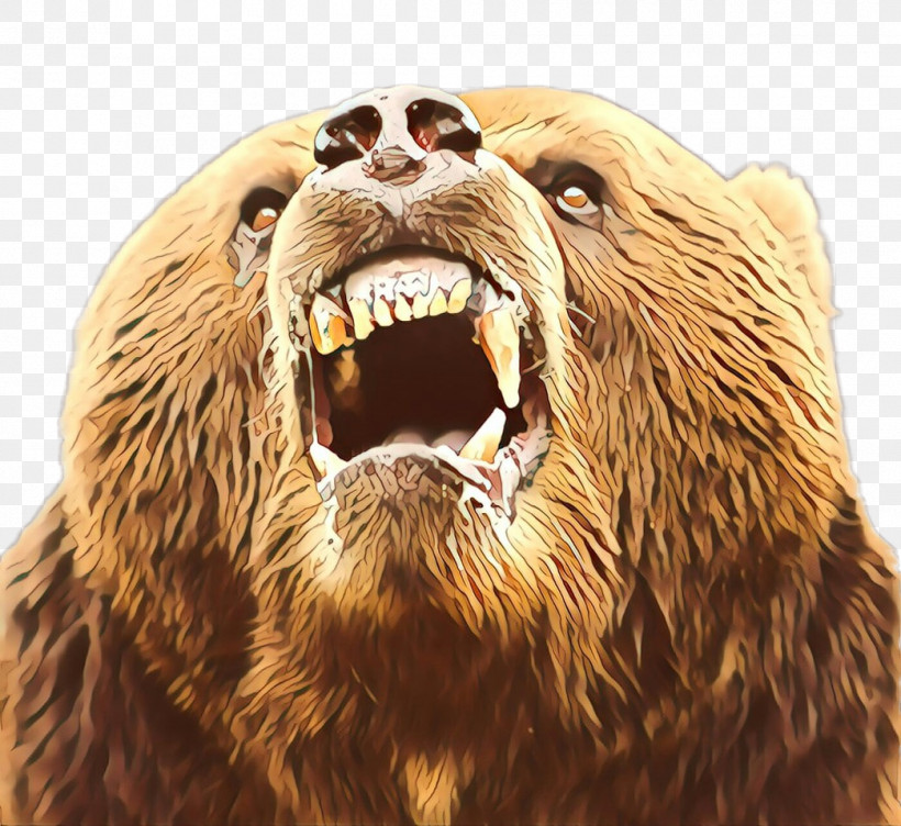 Brown Bear Grizzly Bear Facial Expression Kodiak Bear Roar, PNG, 1044x958px, Brown Bear, Bear, Facial Expression, Grizzly Bear, Kodiak Bear Download Free