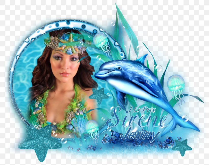 Clip Art, PNG, 800x645px, 3d Computer Graphics, Computer Graphics, Computer Network, Dolphin, Marine Mammal Download Free