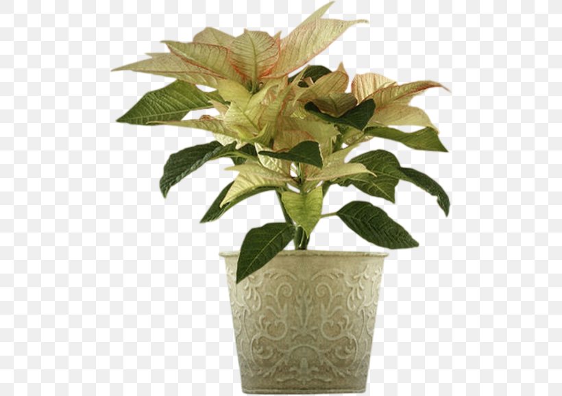 Flowerpot Vase Flower Bouquet, PNG, 500x579px, Flower, Advertising, Evergreen, Flower Bouquet, Flowerpot Download Free