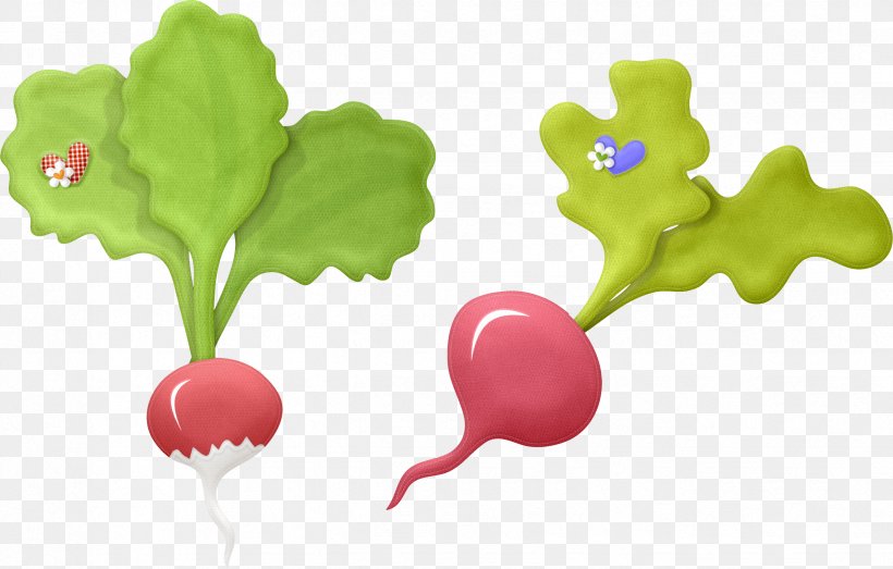 Garden Radish Clip Art Vegetable Drawing, PNG, 2449x1563px, Garden Radish, Beetroots, Chard, Drawing, Food Download Free