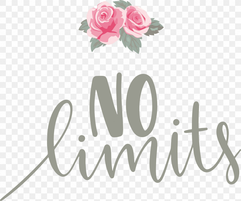 No Limits Dream Future, PNG, 2999x2510px, No Limits, Cut Flowers, Dream, Floral Design, Flower Download Free