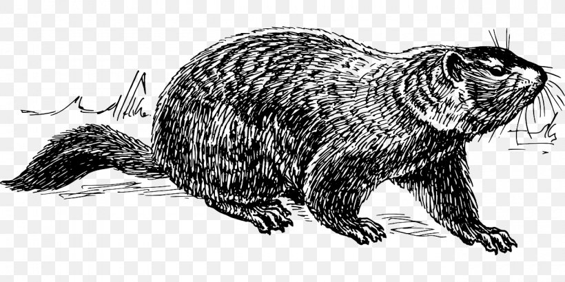 Punxsutawney Phil The Groundhog Groundhog Day, PNG, 1280x640px, Punxsutawney, Animal Figure, Artwork, Beaver, Bill Murray Download Free