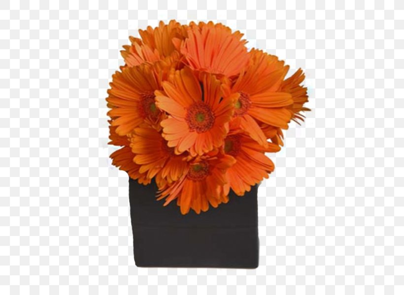 Transvaal Daisy Floral Design Flower Bouquet Cut Flowers, PNG, 450x600px, Transvaal Daisy, Bloomnation, Calendula, Common Daisy, Cut Flowers Download Free
