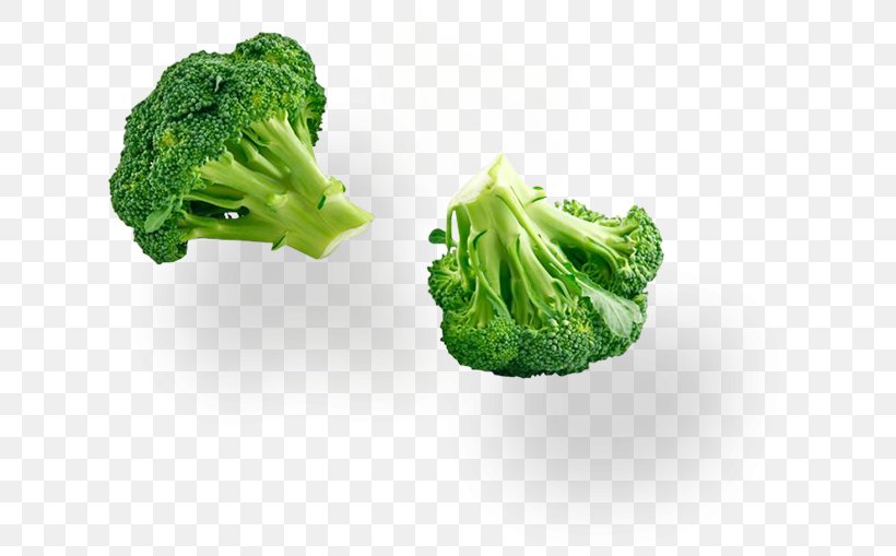 Broccoli Organic Food Soybean Sprout Cruciferous Vegetables, PNG, 624x509px, Broccoli, Bean Sprout, Brussels Sprout, Cauliflower, Cruciferous Vegetables Download Free