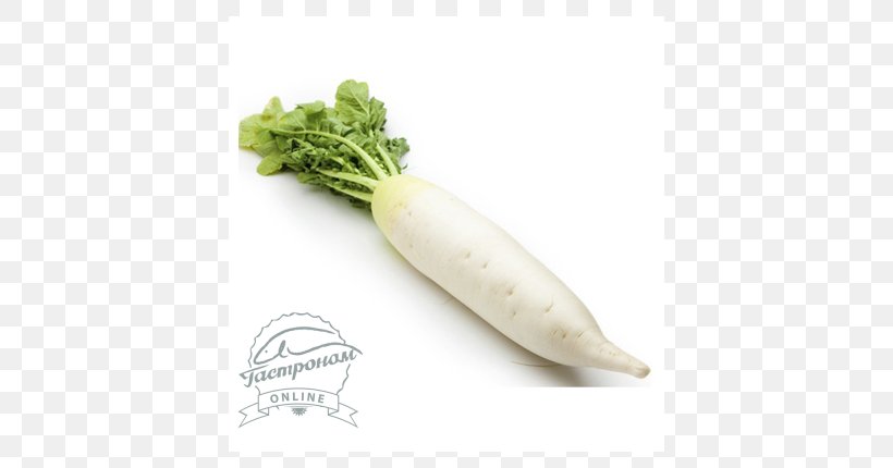Chinese Cuisine Daikon Cải Củ Chinese Broccoli Vegetable, PNG, 500x430px, Chinese Cuisine, Carrot, Chinese Broccoli, Cooking, Daikon Download Free