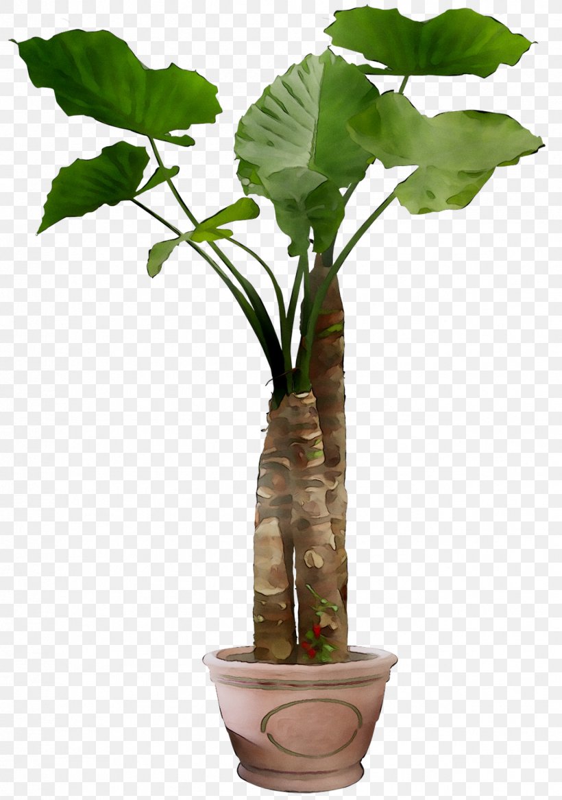 Leaf Plants Plant Stem Branch Tree, PNG, 1289x1834px, Leaf, Alismatales, Anthurium, Arum Family, Blossom Download Free