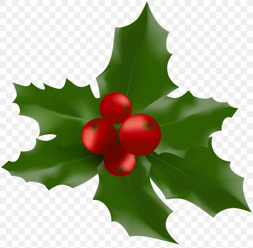Mistletoe Clip Art, PNG, 6010x5900px, Candy Cane, Aquifoliaceae, Aquifoliales, Berry, Christmas Download Free