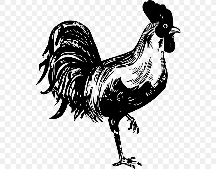 Chicken Rooster Stencil Clip Art, PNG, 550x640px, Chicken, Art, Beak, Bird, Black And White Download Free