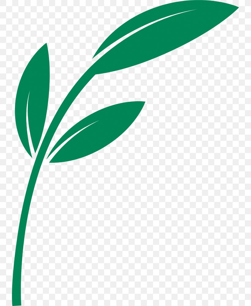 Leaf Clip Art Plant Stem Line Logo, PNG, 741x1000px, Leaf, Grass, Green, Logo, Plant Download Free