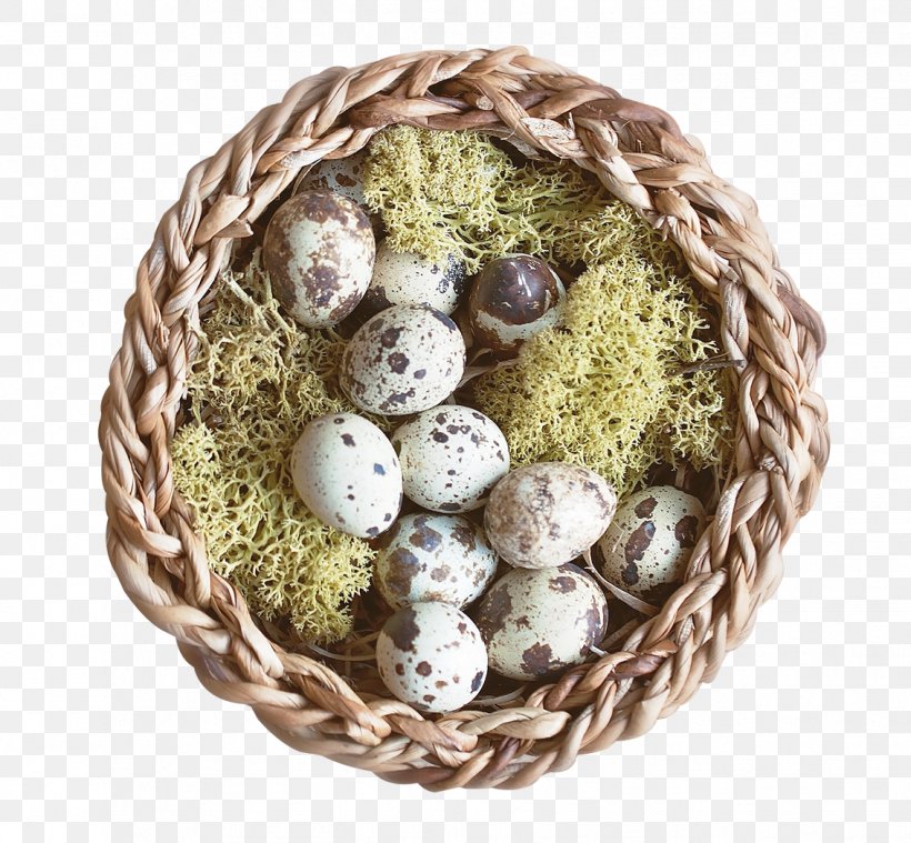 Nest Bird, PNG, 1134x1050px, Transparency And Translucency, Bird Nest, Bit, Easter Egg, Egg Download Free