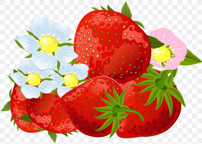 Strawberry Amorodo Fruit Clip Art, PNG, 3031x2159px, Strawberry, Accessory Fruit, Amorodo, Berry, Cranberry Download Free