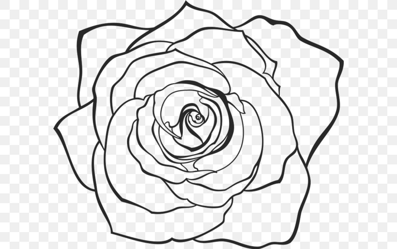 Drawing Clip Art Vector Graphics Image, PNG, 600x515px, Drawing, Blackandwhite, Botany, Coloring Book, Flower Download Free