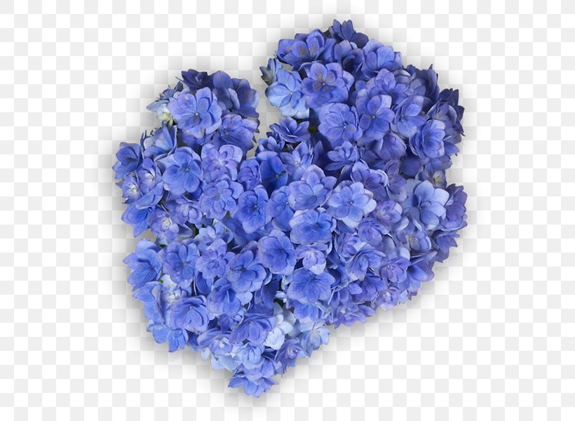 Hydrangea Cut Flowers Ornamental Plant Lavender Violet, PNG, 600x600px, Hydrangea, Annual Plant, Artificial Flower, Bellflower Family, Blue Download Free