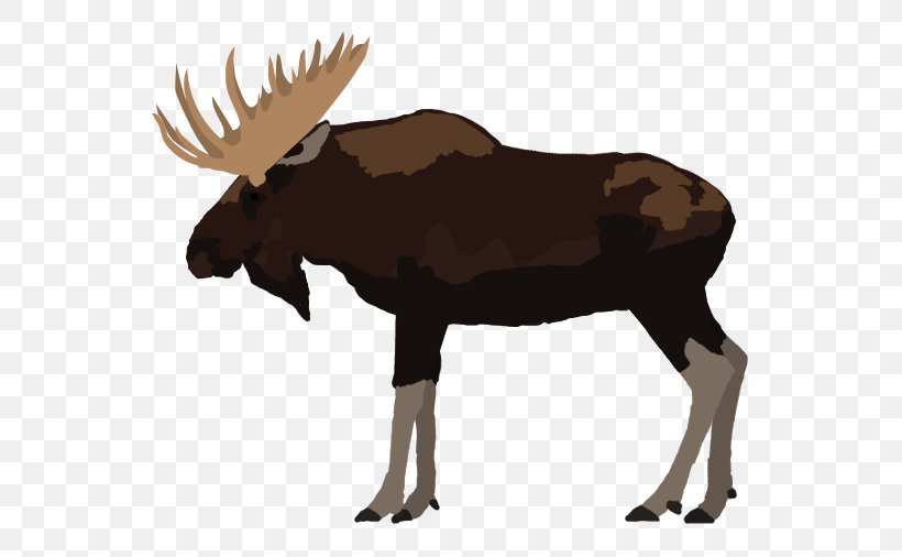 Moose Reindeer Elk Cattle Antler, PNG, 674x506px, Moose, Animal, Antler, Cattle, Cattle Like Mammal Download Free