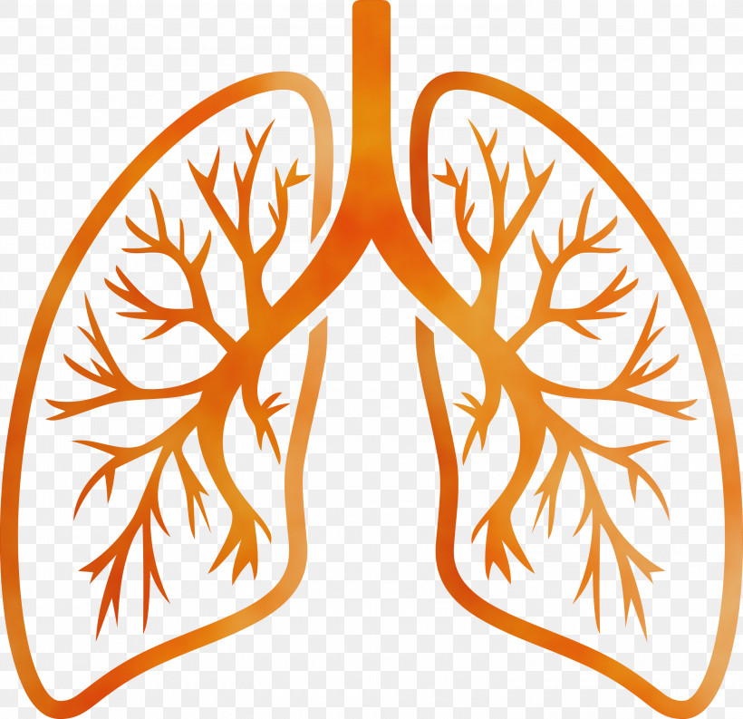 Orange, PNG, 3000x2904px, Lungs, Corona Virus Disease, Covid, Leaf, Orange Download Free