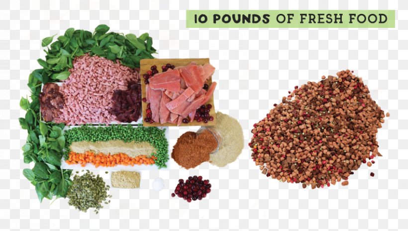 Vegetarian Cuisine Recipe Spice Food Ingredient, PNG, 850x481px, Vegetarian Cuisine, Beef, Commodity, Food, Food Trends Download Free
