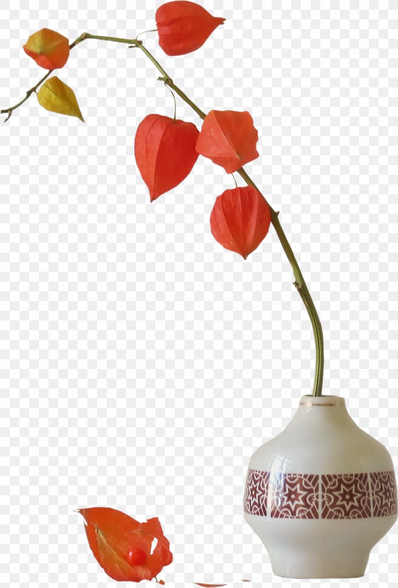 Chinese Lantern Flower Bouquet Plant, PNG, 874x1291px, Chinese Lantern, Auglis, Cut Flowers, Flower, Flower Bouquet Download Free