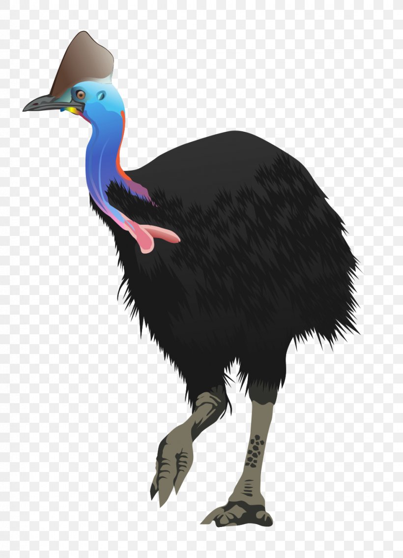 Flightless Bird Common Ostrich Ratite Clip Art, PNG, 976x1351px, Bird, Animal, Beak, Cassowary, Casuariiformes Download Free