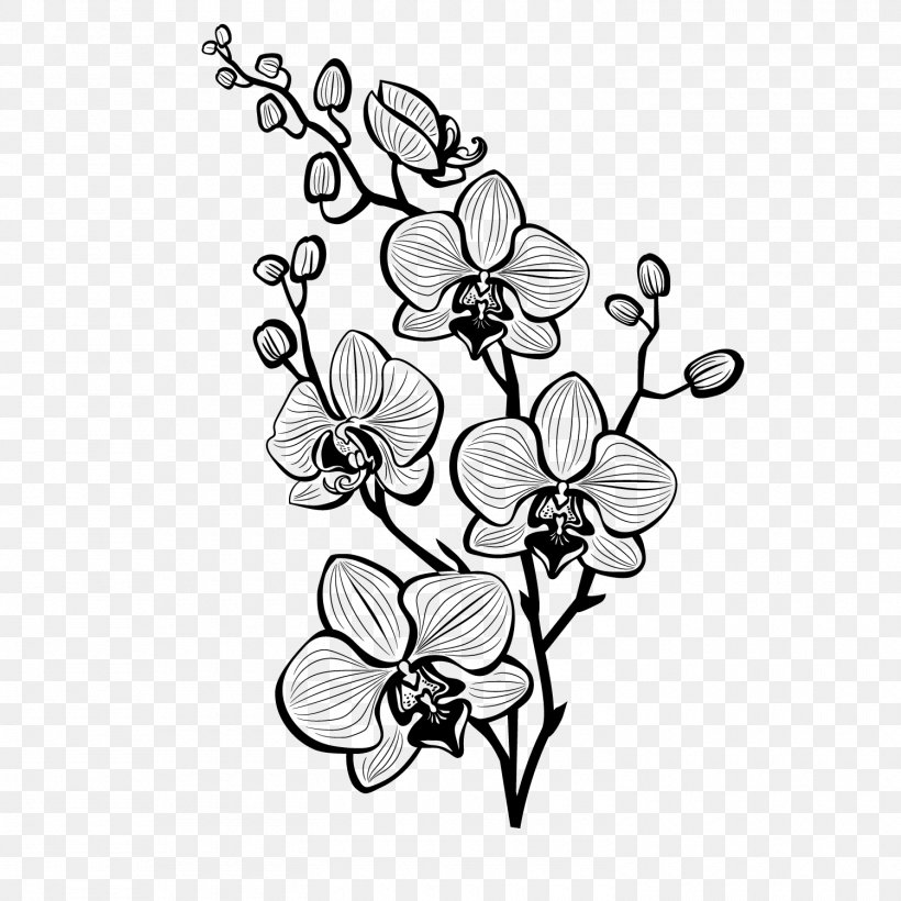 /m/02csf Clip Art Floral Design Cut Flowers Drawing, PNG, 1500x1500px, M02csf, Art, Blackandwhite, Blossom, Botany Download Free
