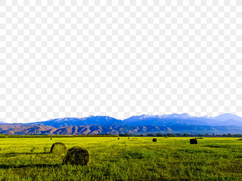 Mount Scenery Grassland Grasses Steppe Rural Area, PNG, 1200x900px, Mount Scenery, Canola Oil, Crop, Ecoregion, Farm Download Free