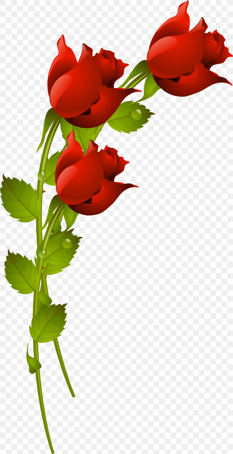 Three Flowers Three Roses Valentines Day, PNG, 925x1800px, Three Flowers, Coquelicot, Flower, Pedicel, Petal Download Free