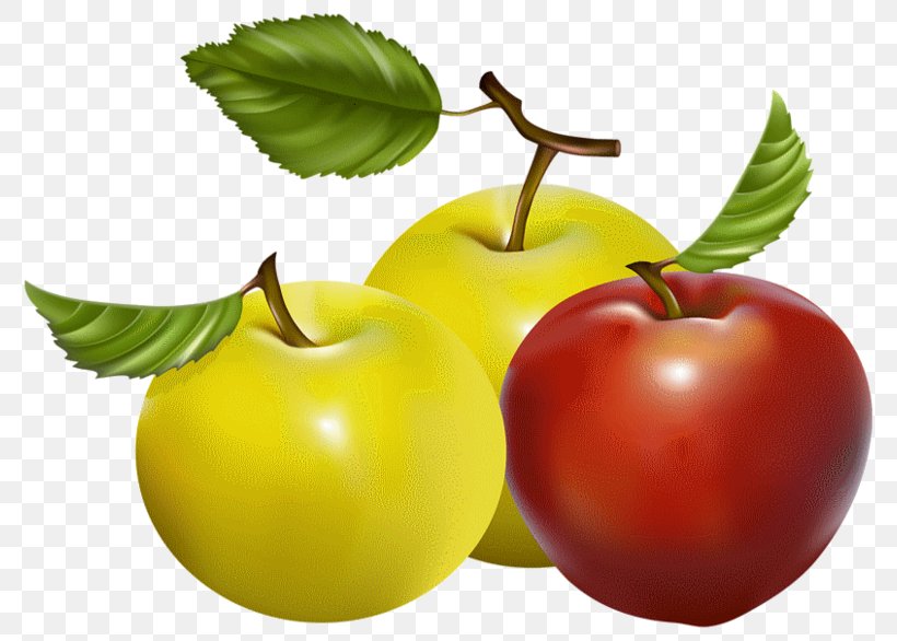 Vector Graphics Apple Fruit Royalty-free Food, PNG, 800x586px, Apple, Accessory Fruit, Cherry, Diet Food, Drawing Download Free